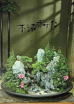 本　盆栽　奇石　水石　席飾 楽天市場】書籍 本 盆栽専門誌「水石入門マニュアル」盆栽 盆石